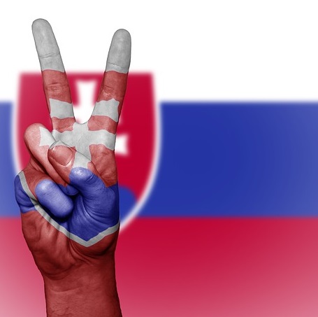 A szlovákiai államfőválasztás tanulságai
