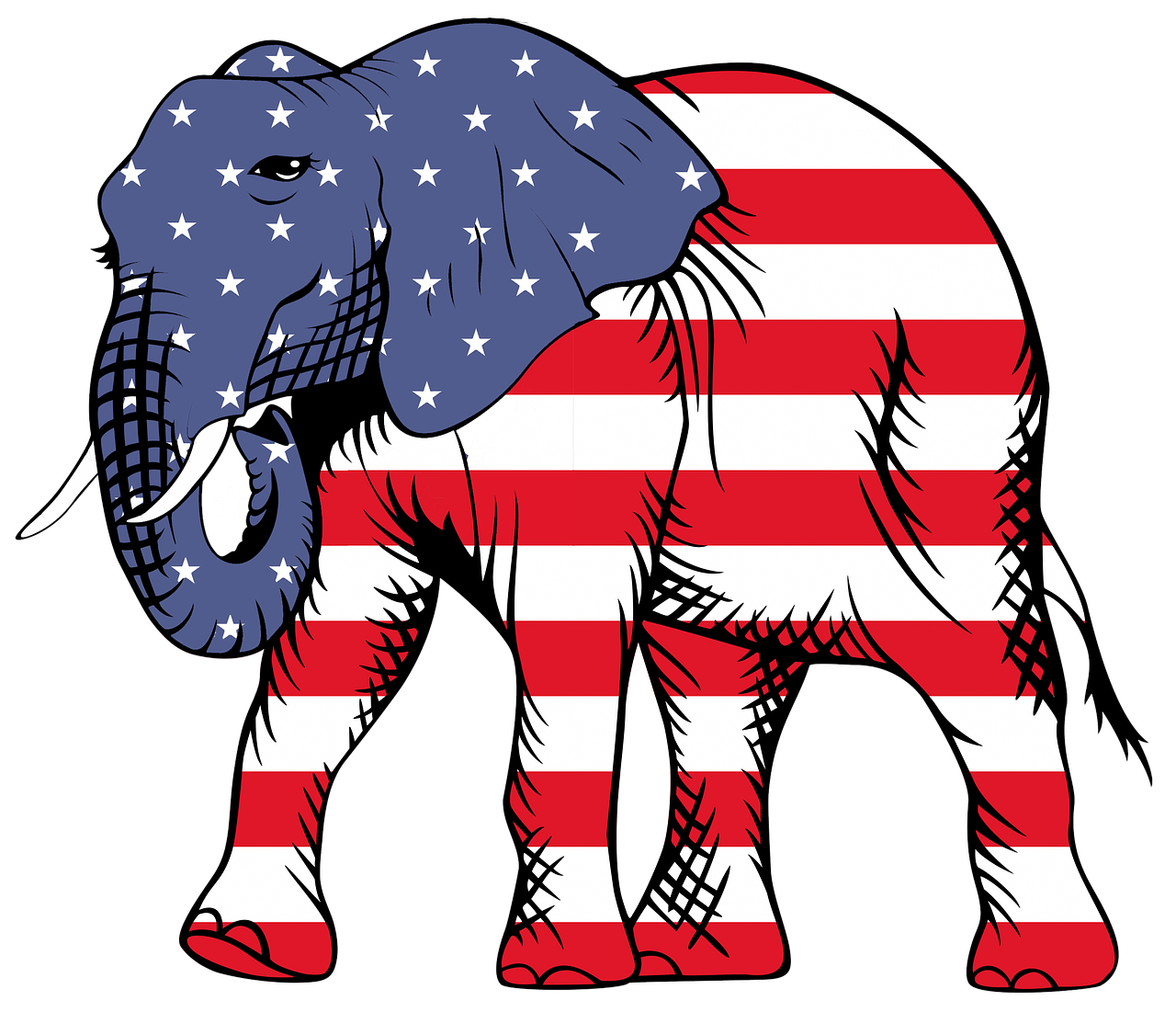 Amerikai előválasztások